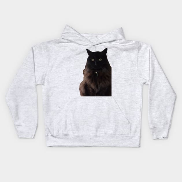 waffle the cat Kids Hoodie by Kaczmania